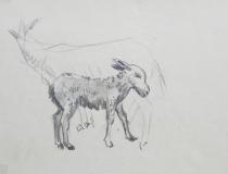 Магаренце, 1970